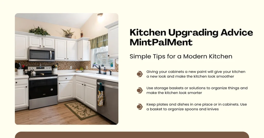 kitchen upgrading advice mintpalment